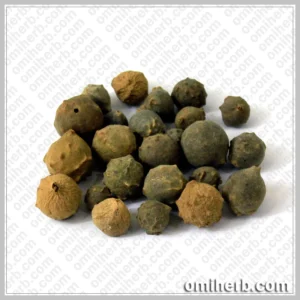 Aleppo Oak (Mazu Sabz)مازو سبز