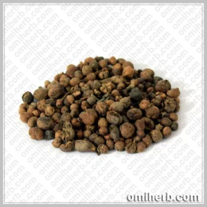 Australian Pine Tree Fruit (Mae Khurdo)مائیں خوردو