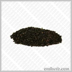 Babchi (Baabchi) بابچی