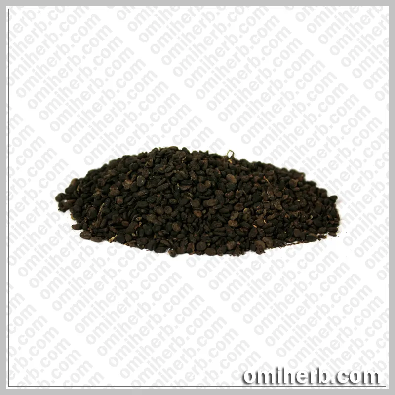 Babchi (Baabchi) بابچی