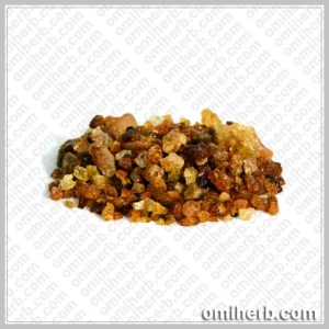 Babool Gum (Gond Babool, Gond Keekar, Gond Kikar) گوندببول