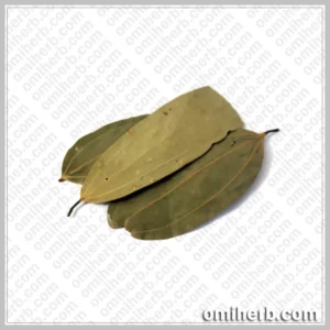 Bay Leaf (Tez Paat,)تیز پات