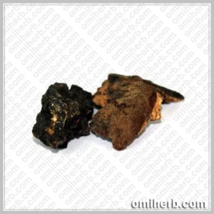 Betel Nut Flower (Gul Supari)  گل سپاری