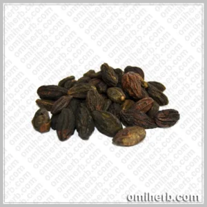 Black Chebulic Myrobalan (Chotti Harr)  چھوٹی ہڑ ہلیلہ سیاہ