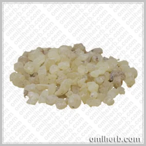 Black Dammar (Chandras)  چندرس سندرس، کندرو، سندوس