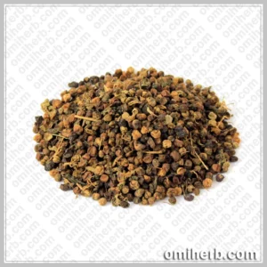 Black Nightshade (Makoh Khushk)  مکوہ خشک