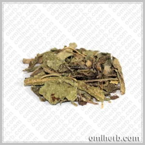 Borage (Gao Zaban) گاؤ زبان