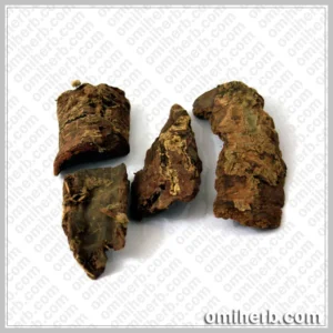 Box Myrtle (Kath Phal) کاٹھپل کائپھل