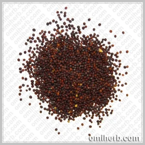 Brown Mustard (Brassica Juncea) براون سرسوں