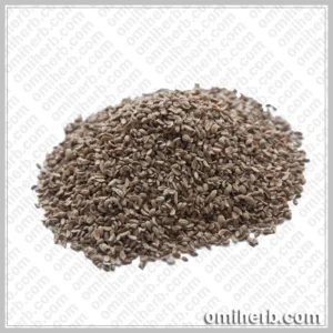 Carrot Seeds (Tukhm-e-Gajar)  تخم گاجر گاجر کے بیج