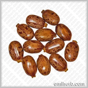 Castor Bean (Tukhm-e-Arandi)  تخم ارنڈی