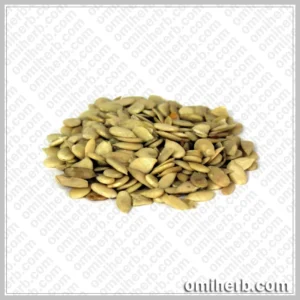 Char Magaz (Charoon Maghaz)  چاروں مغز