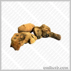 China Root (Chob Cheeni) چوب چینی