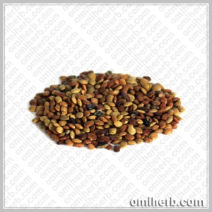 Chinese Chaste Tree Seeds (Tukhm-e-Sanbhalu)  تخم سنبھالو