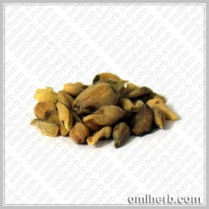 Colchicum Bitter (Suranjan-e-Talkh)  سرانجن تلخ