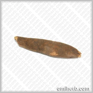 Common Peony (Ood Saleeb) عود صلیب