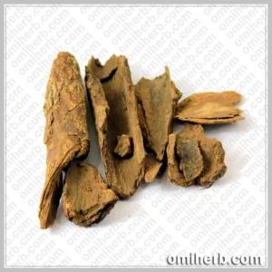 Common Tallow Laurel (Maida Lakdi)  میدہ لکڑی