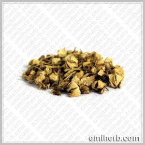 Crown Flower (Gul Madar)  گل مدار