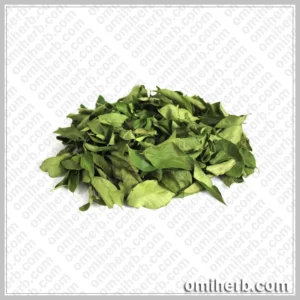 Curry Leaves (Barg-e-Kari, Barg-e-Kadi) برگ کڑی کڑی پتہ