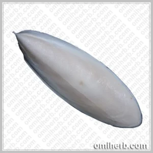 Cuttlefish Bone (Samandar Jhag)  سمندر جھاگ
