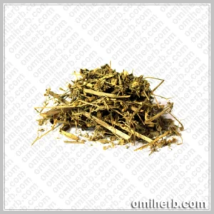 Dodder (Aftimoon)  افتیمون کثوث