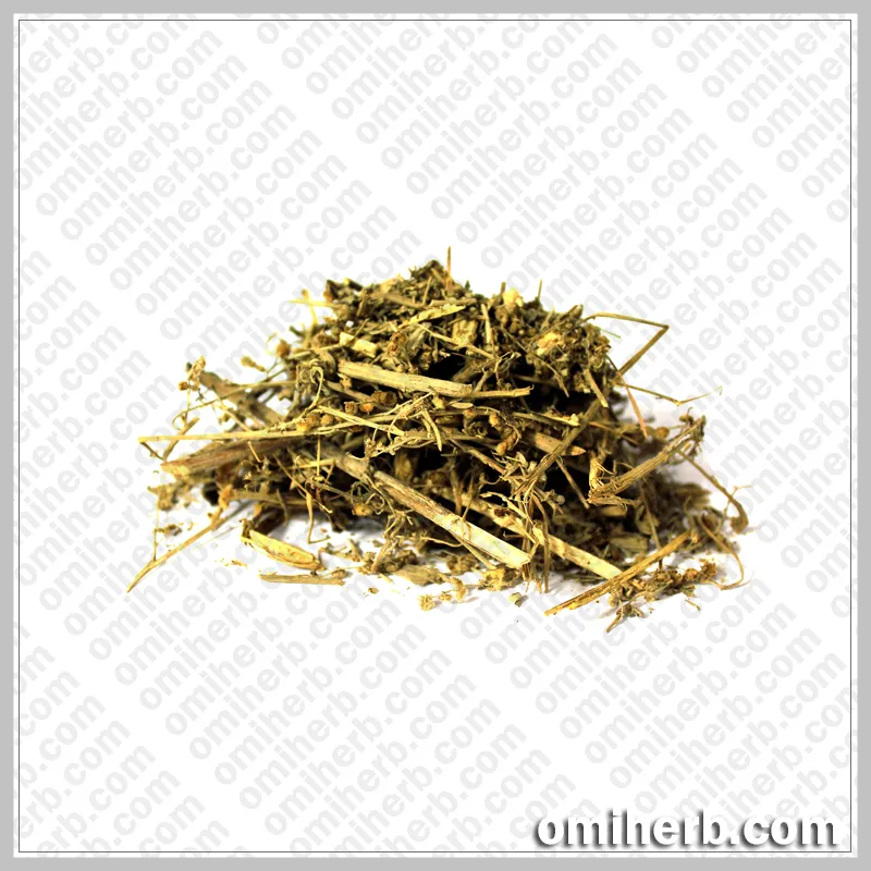 Dodder (Aftimoon) افتیمون کثوث