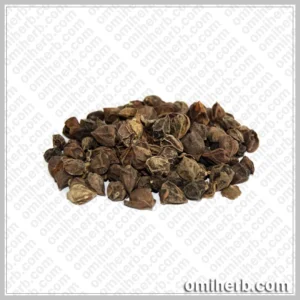 Dried Assyrian Plum (Sapistan Khushk, Lasoora)  سپتان خشک لسوڑا