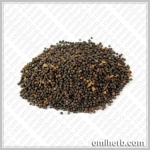 False Black Pepper (Bao Barrang)  باؤ بڑنگ بائے بڑنگ