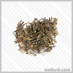 False Daisy (Bhangra)  بھنگرہ بھنگراج