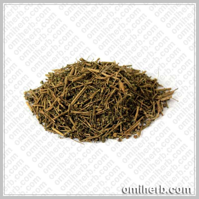 Globe Thistle (Baram Dandi) برم ڈنڈی