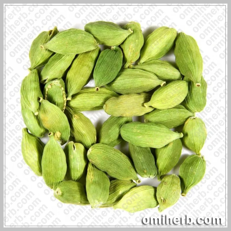 Green Cardamom (Elaichi)الایچی