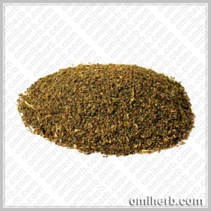 Henbane (Ajwain Khurasani) اجوائن خراسانی