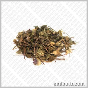 Hyssop (Gul Zoofa) گل زوفہ