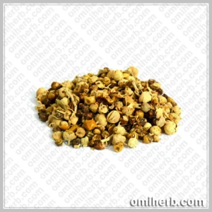 Indian Rennet (Paneer Booti)   پنیر بوٹی پنیر کا ڈوڈا