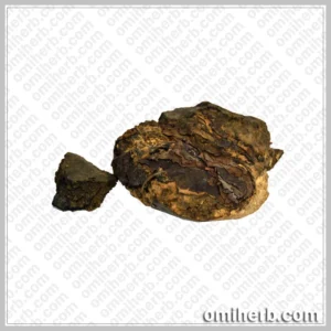 Indian Tree Turmeric (Rasoot India)   رسوت انڈیا