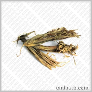 Izkher Roots (Beekh-e-Azkhir)  بیخ اذخر