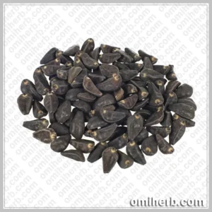 Japanese Morning Glory Seeds (Tukhm-e-Neel)  تخم نیل کلادانہ