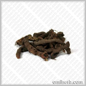 Knotgrass  (Anjbar)  انجبار