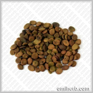 Lebbek Tree Seeds (Tukhm-e-Saras) تُخم سرس
