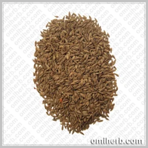 Lettuce Seeds (Tukhm-e-Kahu)  تخم کا ہو