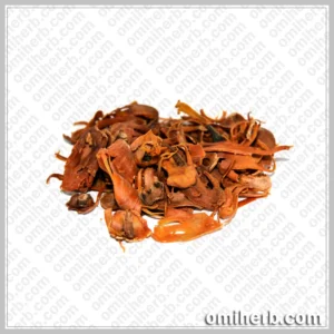 Mace (Javitri)جاوتری