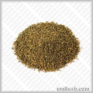 Madras Leaf Flower Seeds (Tukhm-e-Kanucha)  تخم کنو چہ