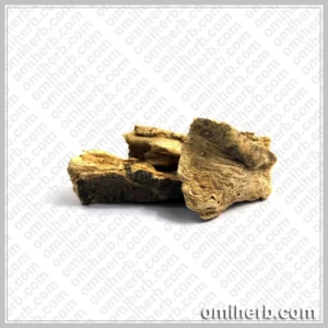 Marine Costus (Qust-e-Shireen) قسط شیریں