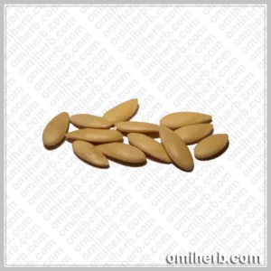 Melon Seeds (Tukhm-e-Kharbooza) تخم خربوزہ