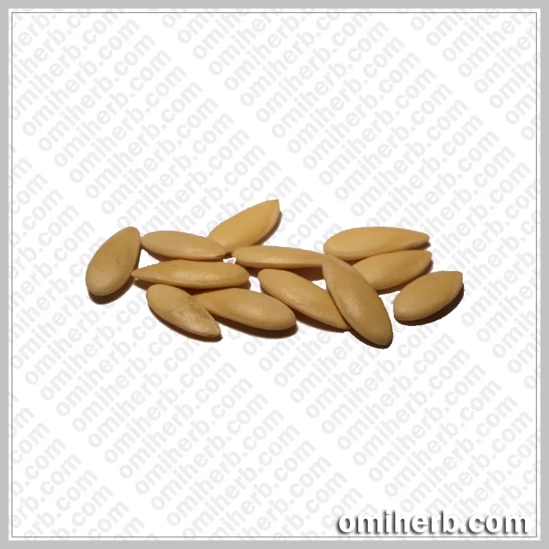 Melon Seeds (Tukhm-e-Kharbooza) تخم خربوزہ