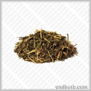 Mexican Sarsaparilla (Ushba Magrabi) عشبہ مغربی