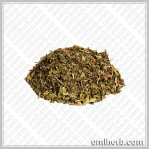 Mint (Podena) پودینہ