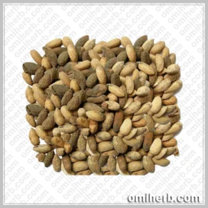 Neem Seeds (Tukhm-e-Neem) تخم نیم