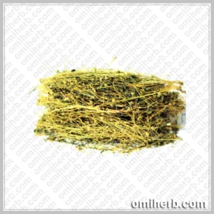 Phyllanthus (Hazar Dana) ہزار دانہ