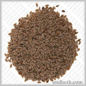 Psyllium Seed Husk (Ispaghol Muslim) اسپغول مسلم